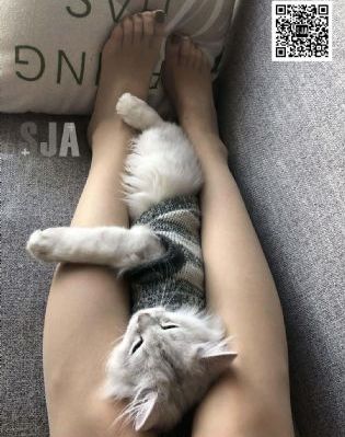 黑帮老大和我的三百六十五天_BD免费高清观看